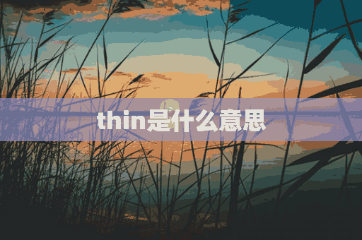 thin是什么意思(skinny是什么意思)